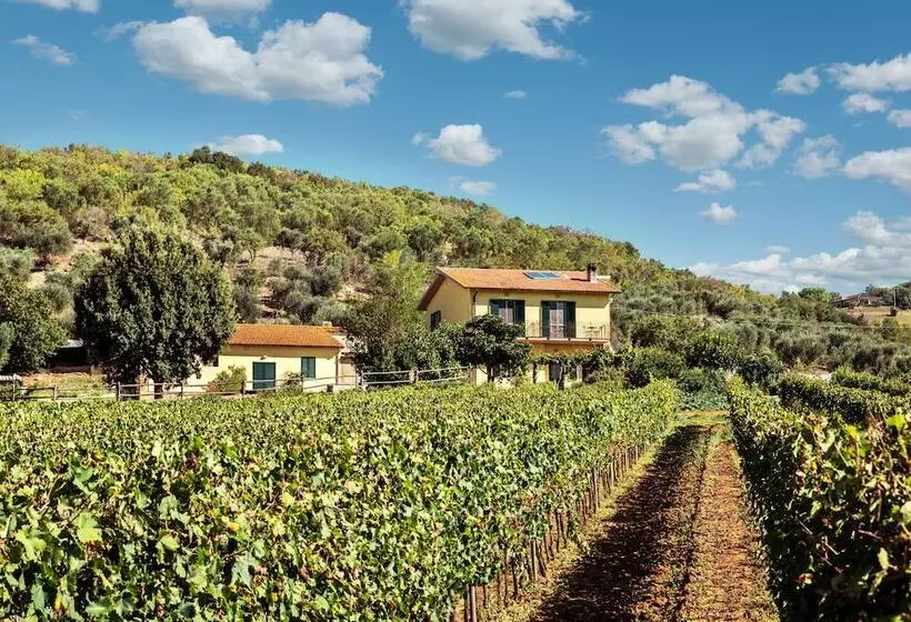 田舎風ホテル Poggiolivi Agriturismo Bio In Maremma