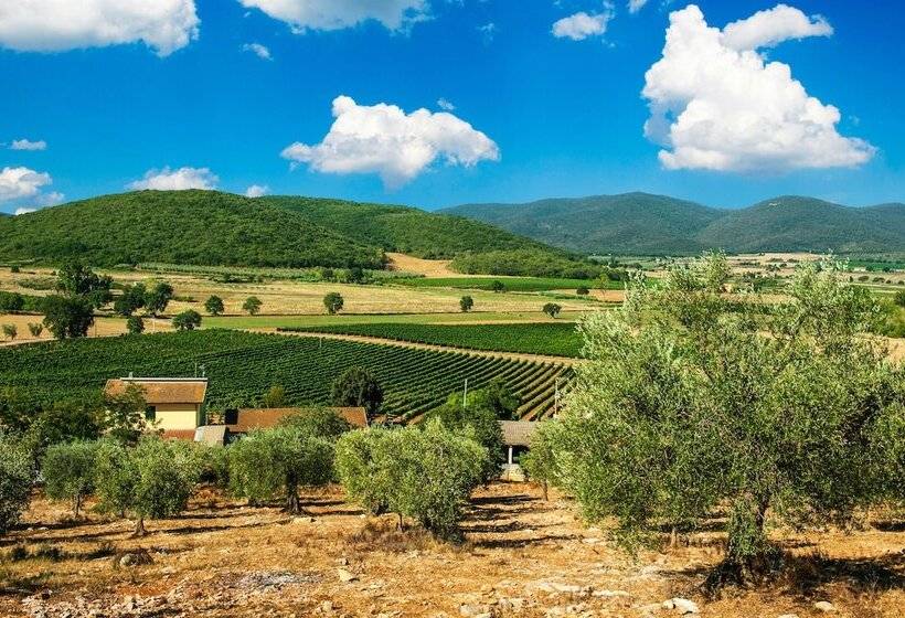 בית מלון כפרי Poggiolivi Agriturismo Bio In Maremma