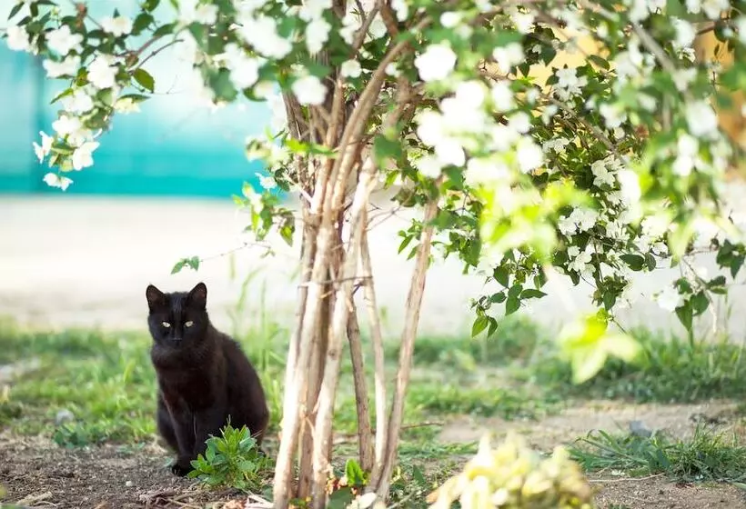 田舎風ホテル Poggiolivi Agriturismo Bio In Maremma