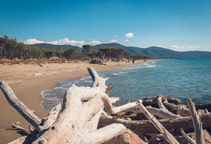 בית מלון כפרי Poggiolivi Agriturismo Bio In Maremma