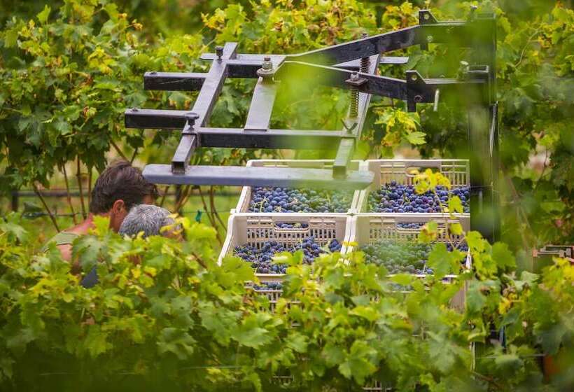 B&b Boutique Osteria Della Pieve