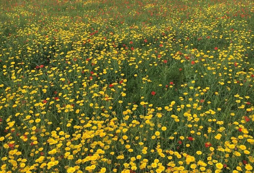 فندق ريفى Agriturismo Villa Gaia