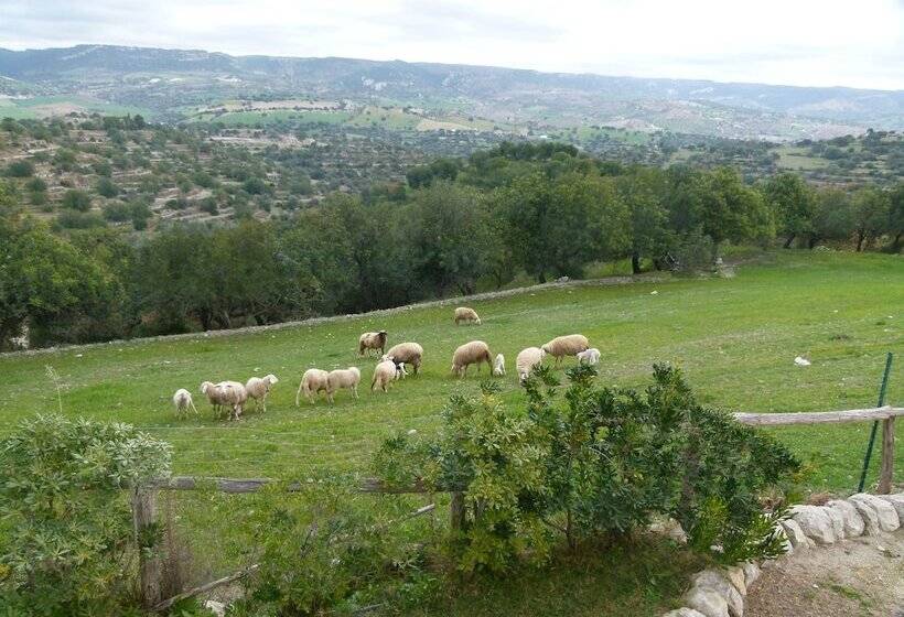 فندق ريفى Agriturismo Villa Gaia