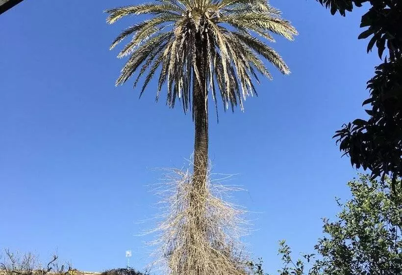 ペンション Palazzo Sabella Tommasi
