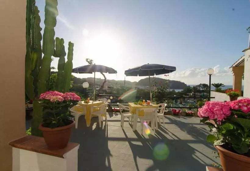 Villa Raffaela B&b
