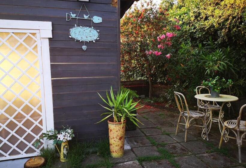 مبيت وإفطار Casa Degli Ulivi Etna