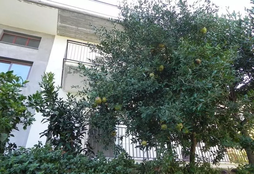 Majatalo Affittacamere Bellavista