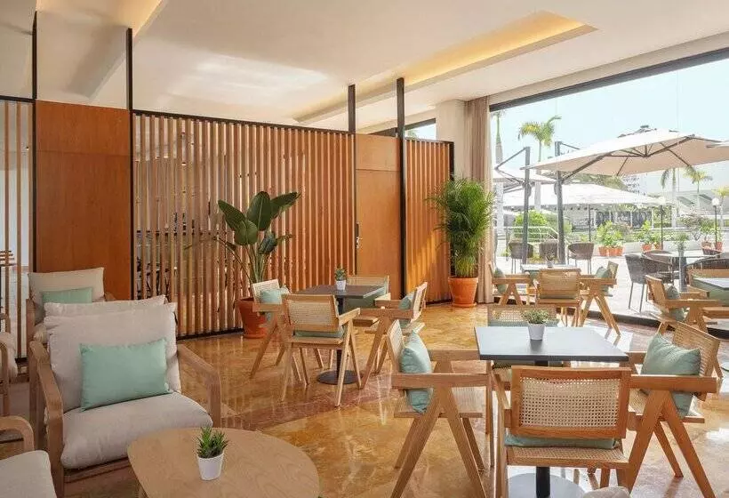 Hotel Aluasoul Costa Adeje   New Opening