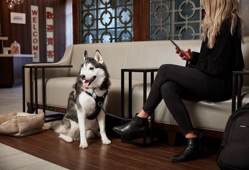 فندق Fairfield Inn & Suites By Marriott Washington Downtown