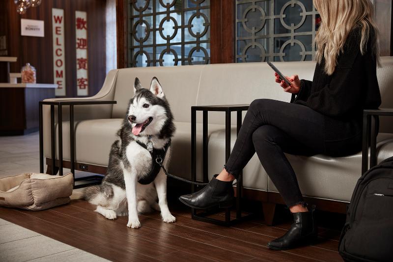 فندق Fairfield Inn & Suites By Marriott Washington Downtown