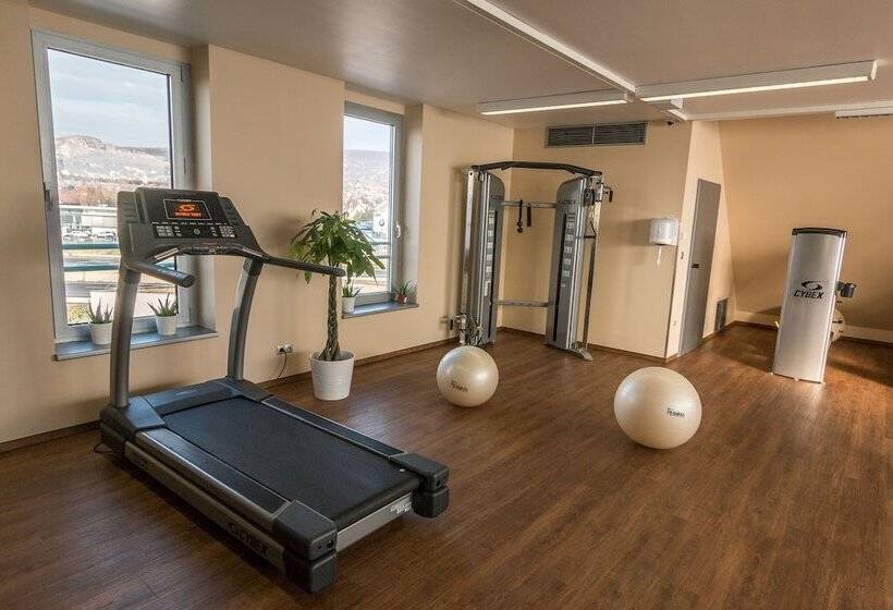 酒店 Holiday Inn Budapest Budaörs, An Ihg