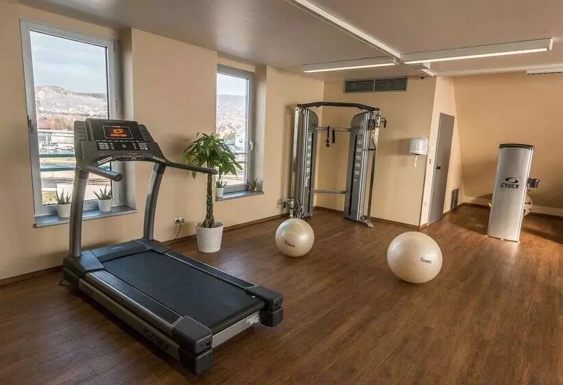 Hotel Holiday Inn Budapest Budaörs, An Ihg