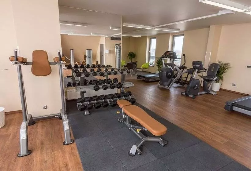 Hotel Holiday Inn Budapest Budaörs, An Ihg