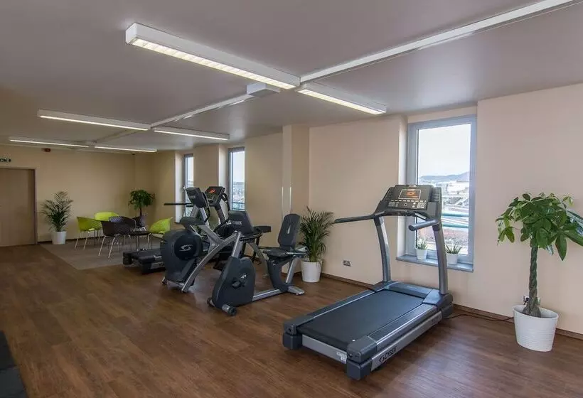 Hotel Holiday Inn Budapest Budaörs, An Ihg