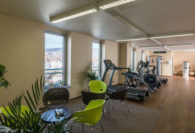 酒店 Holiday Inn Budapest Budaörs, An Ihg