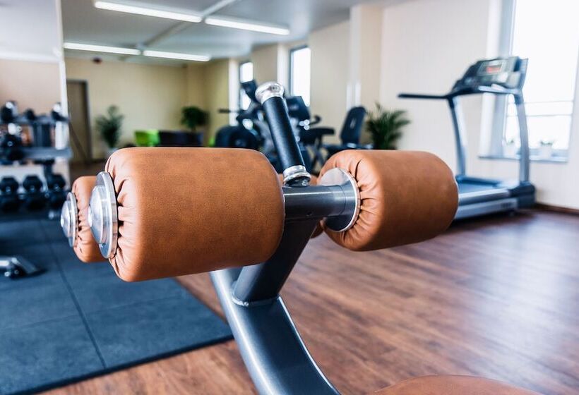 酒店 Holiday Inn Budapest Budaörs, An Ihg