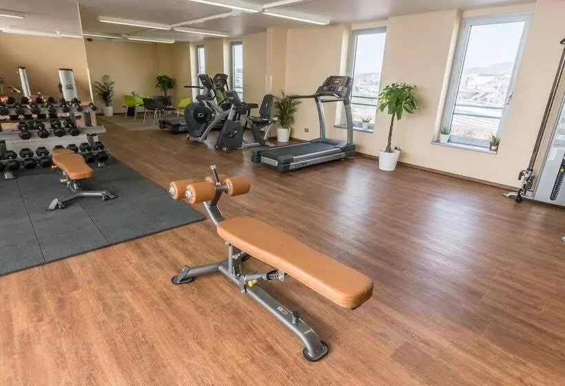 Hotel Holiday Inn Budapest Budaörs, An Ihg