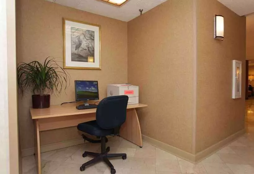 Wyndham Garden Hotel   Jacksonville