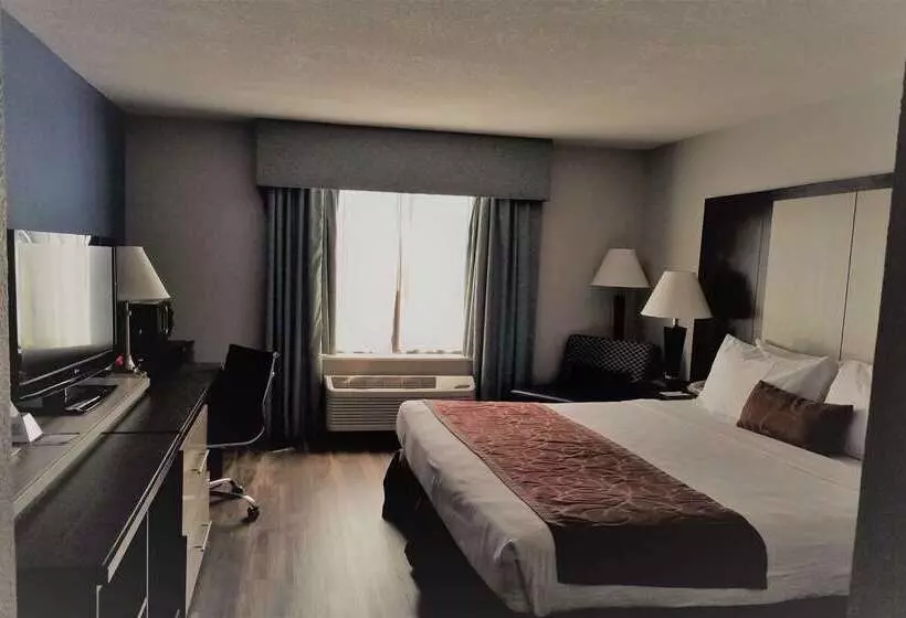 Wyndham Garden Hotel   Jacksonville