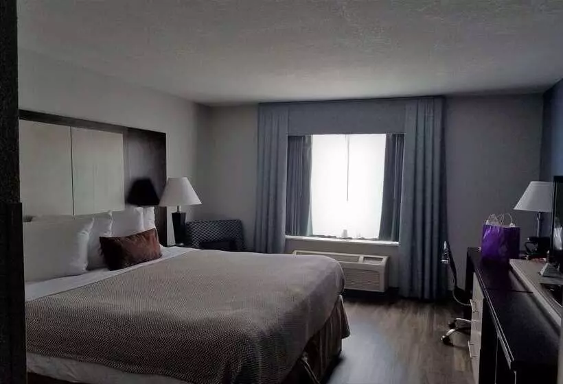 Wyndham Garden Hotel   Jacksonville