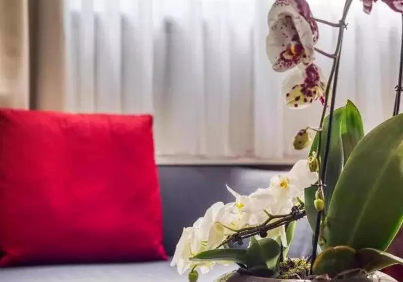 Résidence hôtelière Le Richemont