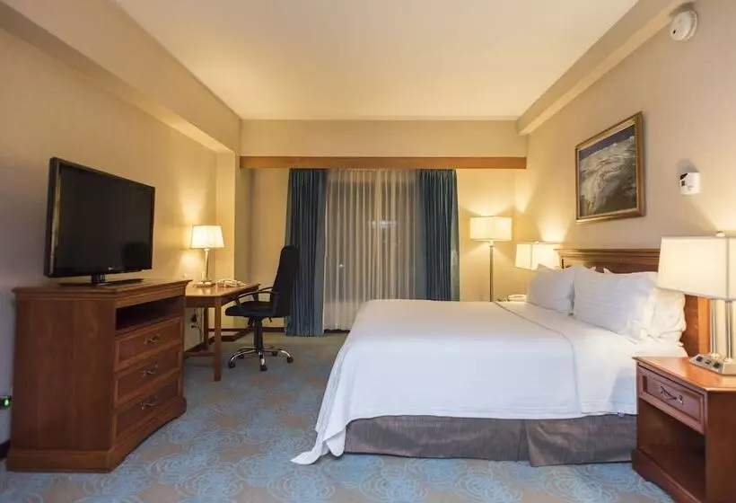 هتل Holiday Inn Convention Center, An Ihg