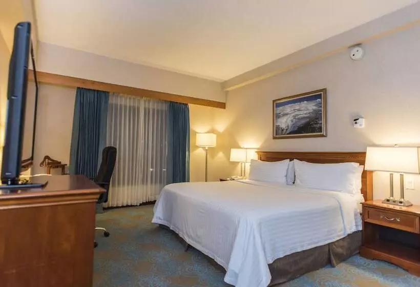 هتل Holiday Inn Convention Center, An Ihg