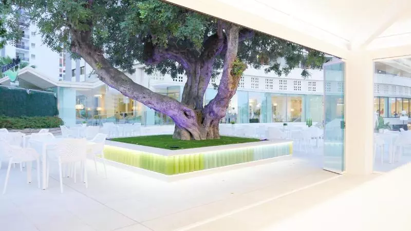 Hotel Primavera Park 4* Sup