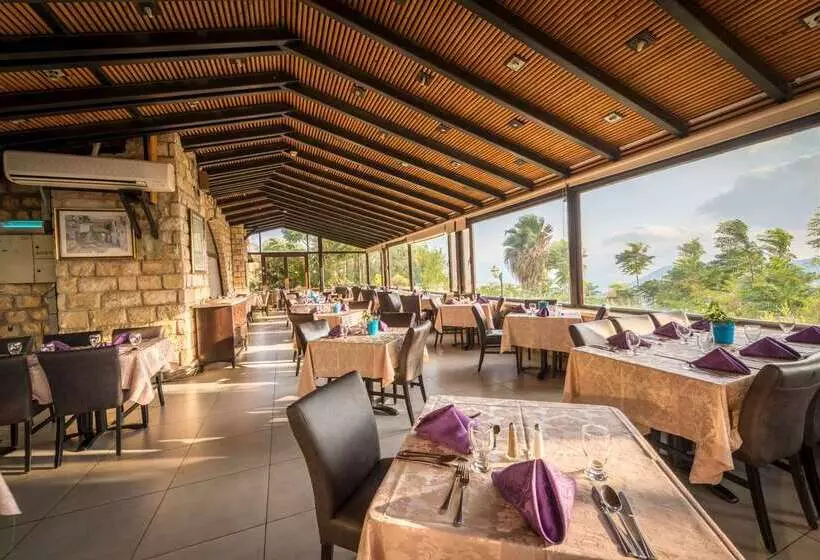 Ruth Safed By Dan Hotels