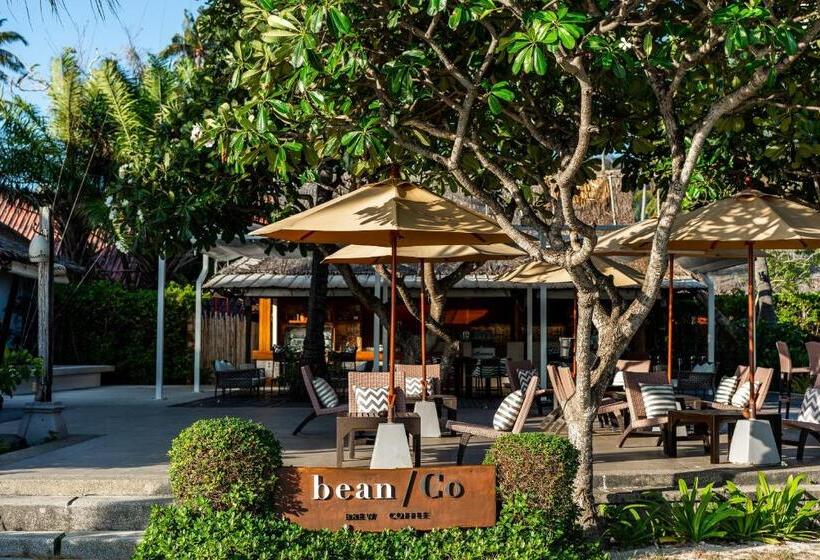 Отель Saii Phi Phi Island Village