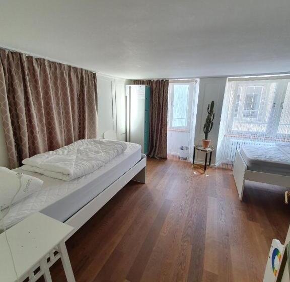 Friendly Hostel Zürich