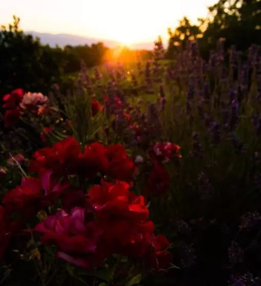 ホテル Agriturismo Podere Luisa