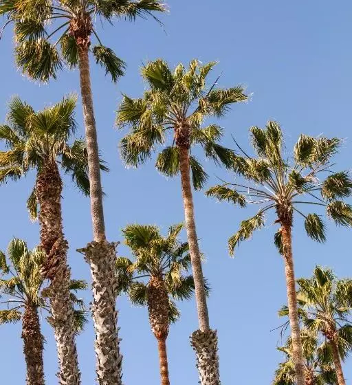 Found Hotel, Santa Monica