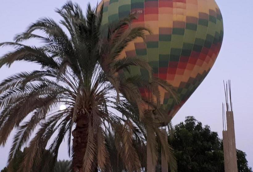 هتل Sunflower Guest House Luxor West Bank