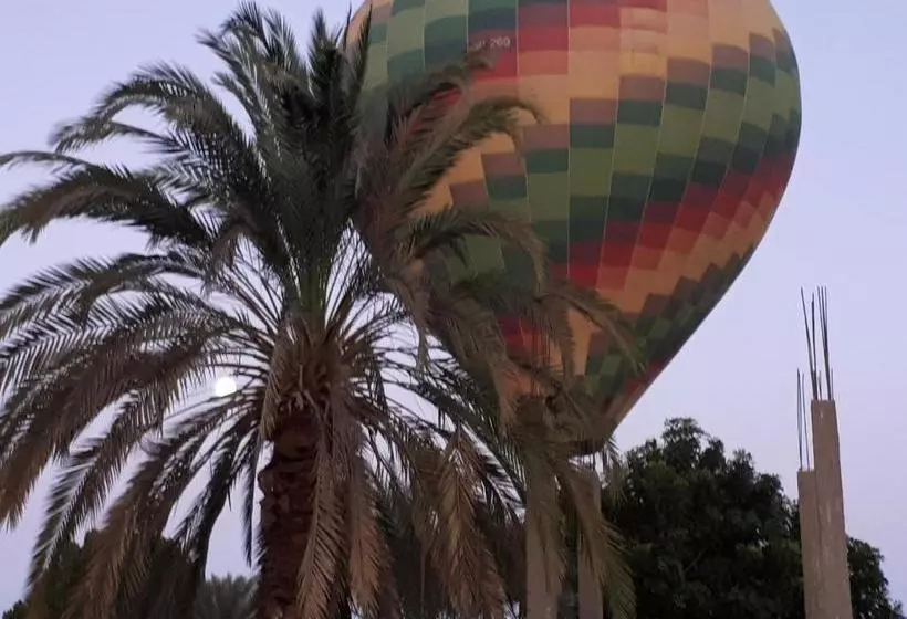 هتل Sunflower Guest House Luxor West Bank