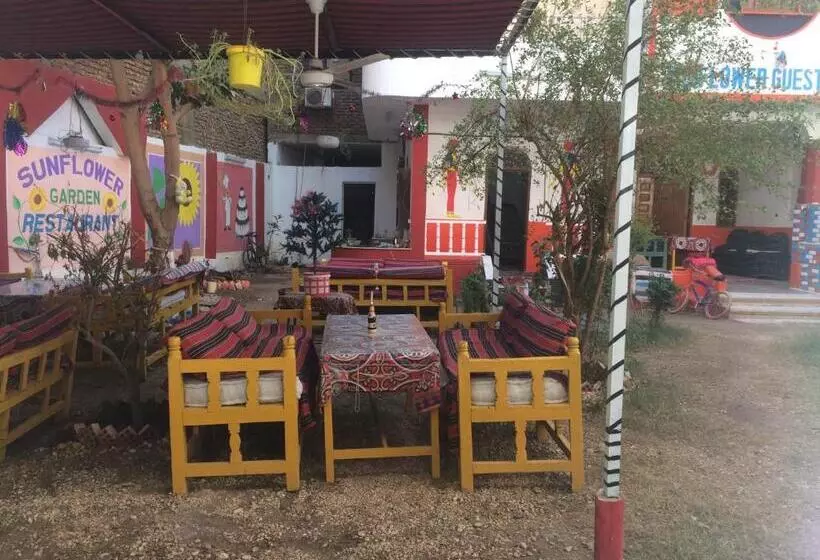 هتل Sunflower Guest House Luxor West Bank