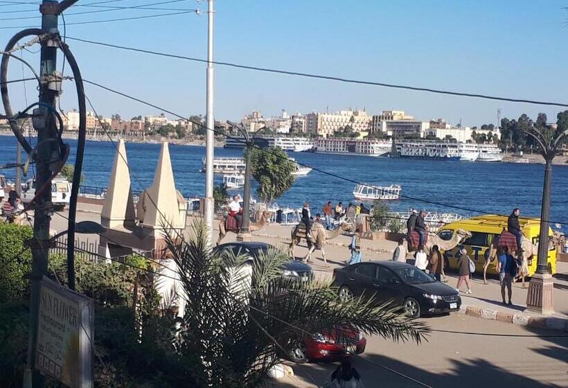 هتل Sunflower Guest House Luxor West Bank