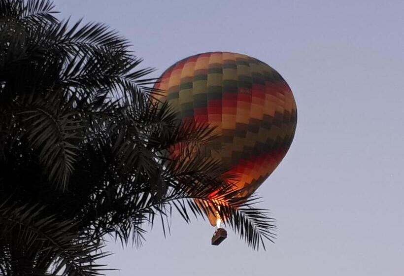 هتل Sunflower Guest House Luxor West Bank