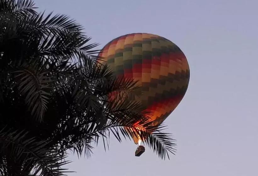 هتل Sunflower Guest House Luxor West Bank