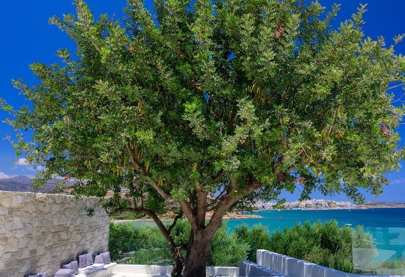 The Island Concept Luxury Boutique Hotel Heated Pool