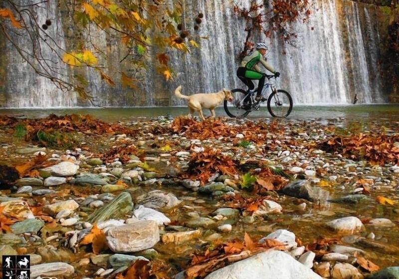 Отель Karavia Lux Inn