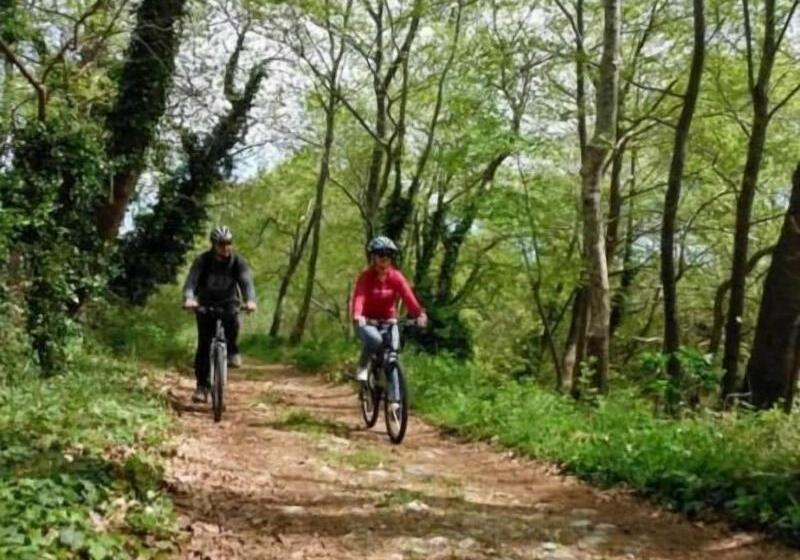 Отель Karavia Lux Inn