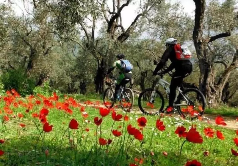 Hotelli Karavia Lux Inn