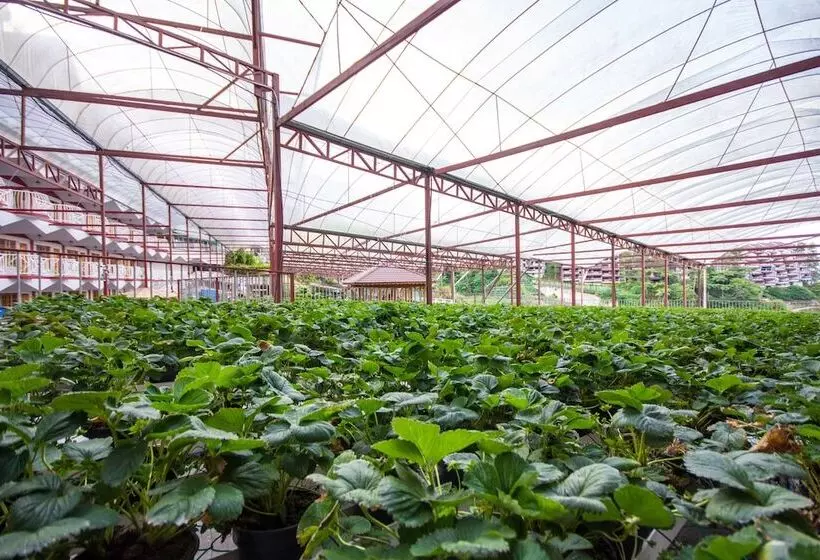 ホテル Kea Garden Guest House