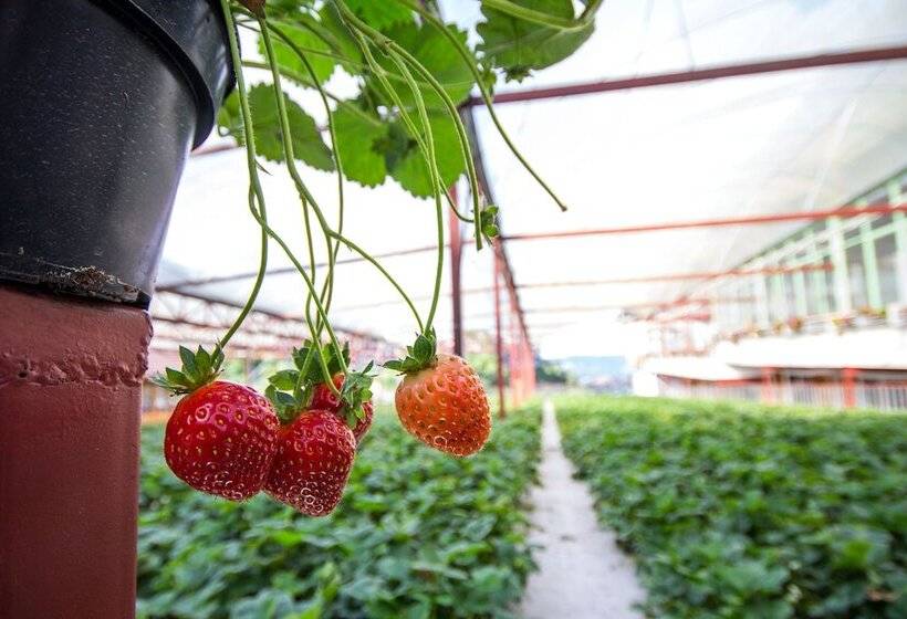 Hotel Kea Garden Guest House