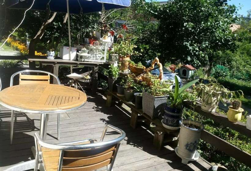 ホテル Nadeuri Pension