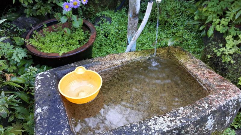 Hotel Starvill Pension