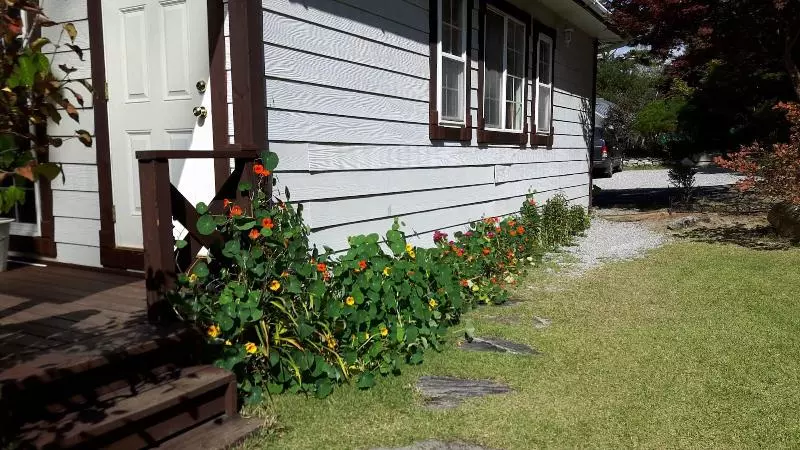 Hotelli Starvill Pension