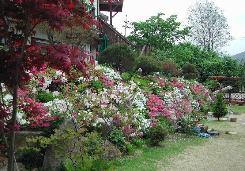 Hotel Starvill Pension