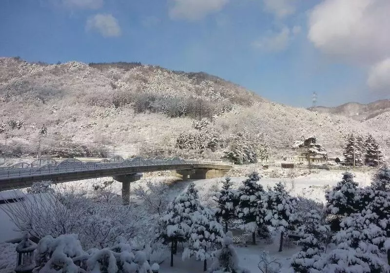 Hotelli Starvill Pension